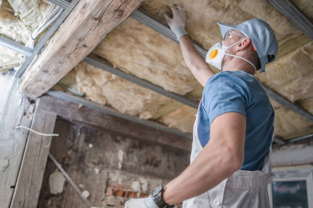 Best Spray Foam Insulation in Bosque Farms, NM