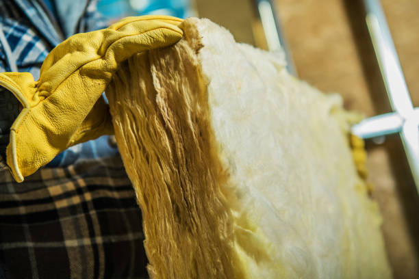 Best Commercial Insulation in Bosque Farms, NM