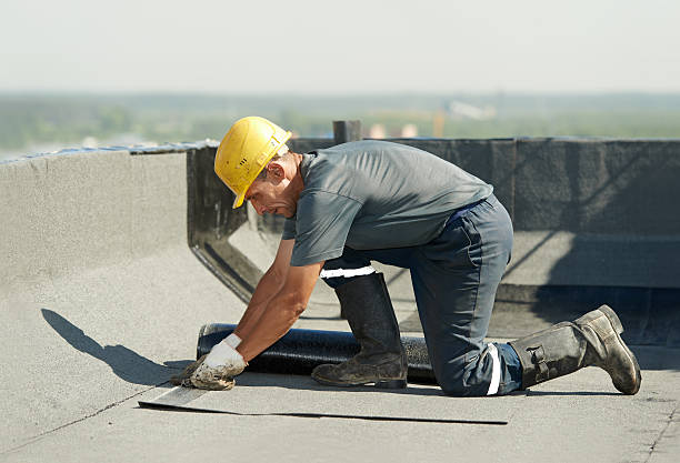 Best Specialized Insulation Services in Bosque Farms, NM